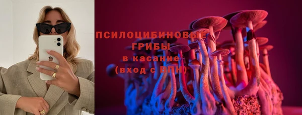 метадон Коряжма
