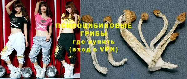 метадон Коряжма