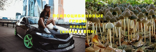 метадон Коряжма